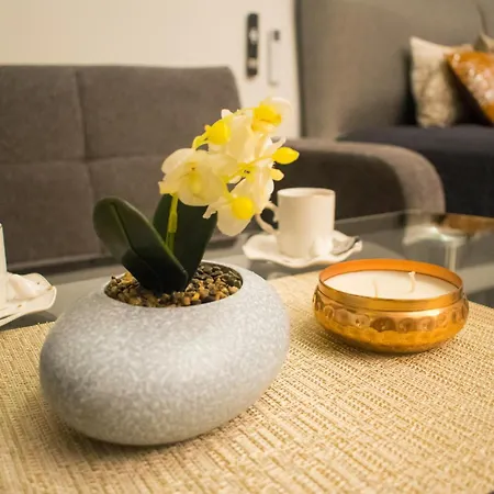 Nelly's Place 10 Apartament Școrpilovți